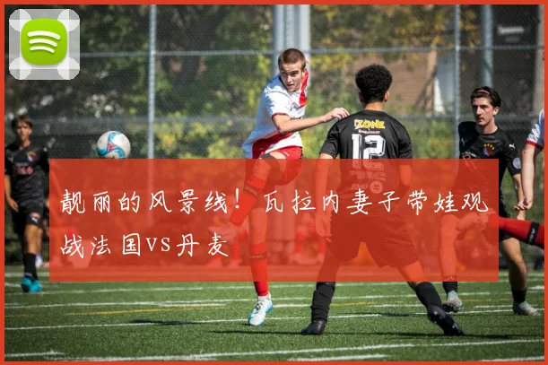 靓丽的风景线！瓦拉内妻子带娃观战法国vs丹麦